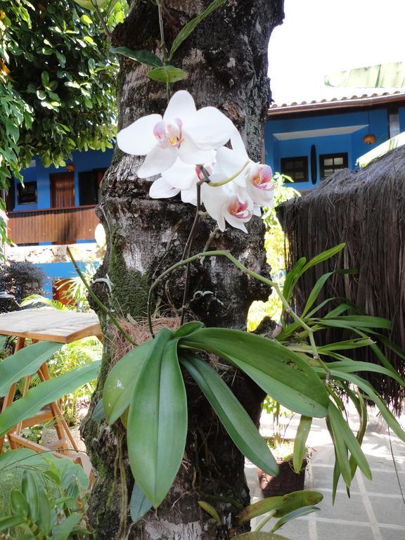 Pousada Dos Meros Ilha Grande Exterior foto